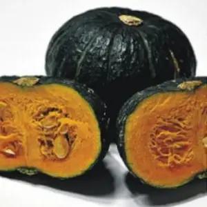 미니단호박 미니호박종자 5립 식용호박씨 식용채소씨앗 씨앗 (WFKBY5Y)