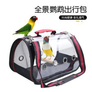 앵무새 애완조류 휴대용 펫비행기 오밤울레 비행기 강아지 산책 백팩 투명 접이식 이동가방