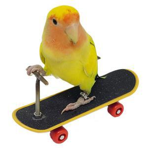 앵무새 스케이트보드 놀이 워킹 반려조 토이 도구 손가락보드