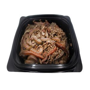 도원피싱 비만통통 청갯지렁이 250g 생물 청개비 갯지렁이 미끼