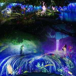 [경주] 정글 미디어파크(+포토) 통합 이용권/경주가볼만한곳/여행/가족여행/볼거리/놀거리/데이트/키즈카페/전시/공연/체험/아르떼뮤지엄/북군동벚꽃/왕벚꽃