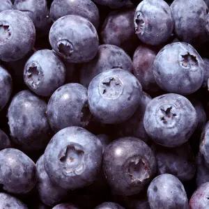 블루베리1kg (칠레산)