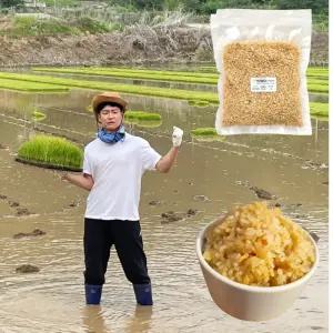 오분도미 쌀 오분도쌀 5분도미 2024년 햅쌀 황미쌀 당일도정 삼시세끼 진공포장 쌀리버리