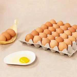 후레쉬 계란 30개입 (대란, 1560g)