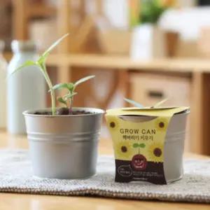 그로우캔 미니 해바라기/씨앗/재배/심기/키우기/꽃/화분/반려/식물/기르기/키트/허브/세트/셋트/대량/구매