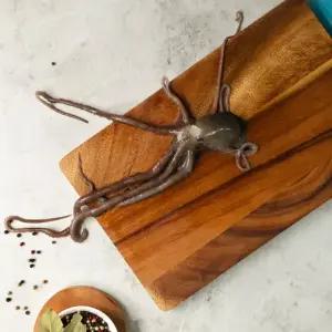 오늘조업 낙지 산지 택배 전남 목포 무안 신안 세발, 중소, 중사이즈 산낙지