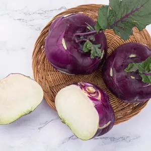 당일경매 제주 콜라비 10kg 당도보장 특품