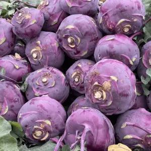 제주 햇 콜라비 3kg 품질 당도보장 특품