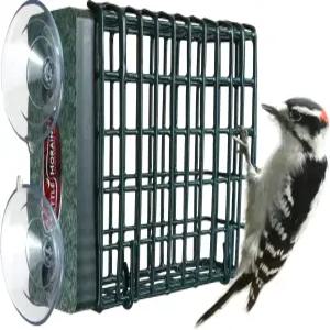 케틀 모레인 윈도우 마운트 싱글 스위트 케이크 딱따구리 새 모이통