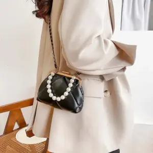 프레임진주 미니크로스백 (WFJ677R)