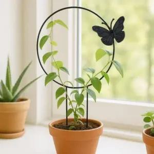식물 모양 잡아주는 화분지지대 나비 포인트 원형 지지대 (WFJ678P)