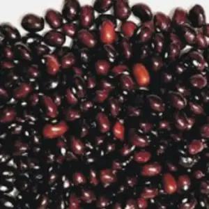 울타리콩씨앗 채소 품종 재래종울타리콩 30g 채소품종씨앗 (WFJ7CSP)