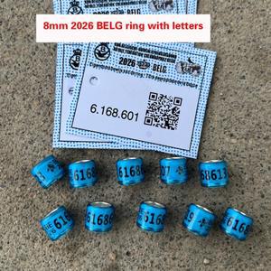 20개 2026 BELG호환 비둘기 반지(문자 카드 포함) 새 8mm