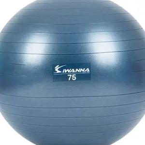 L01 75cm 짐볼 운동짐볼 블루 인디고 마사지볼 짐볼
