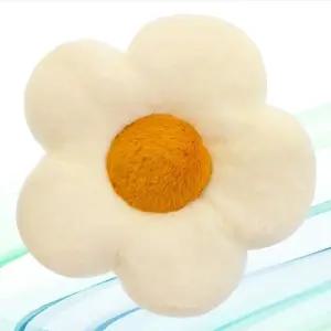 꽃모양 방석 쿠션 소형 쇼파 카페 인테리어 소품 (WFKBLPG)