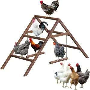 그네 2개와 사다리 보르호미스 소나무 나무 닭 농어 뒷마당 협동 다단계 닭장 10마리 조립 및 청소가