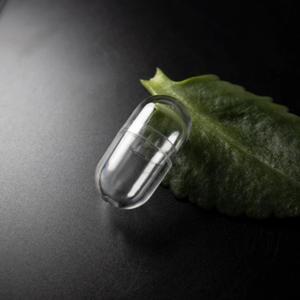 10pcs 미니 빈 플라스틱 공 캡슐  알약 케이스 작은 박스 투명 상자