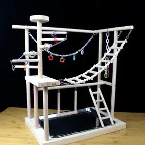 앵무새 놀이터 횟대 키우기 모란 훈련대