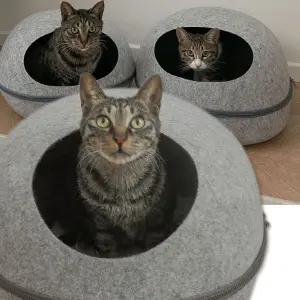 반려견집 뚜또가또 고양이 꼭꼭 숨어라 숨숨 하우스 대형공룡알