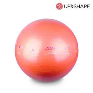 업앤쉐이프 스티커짐볼65cm헬스볼 스트레칭볼 홈트레이닝볼 필라테스볼 요가도구 운동 블루볼 요가볼