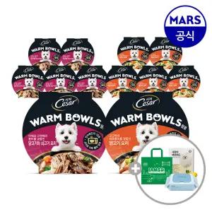 시저 웜볼 10개 골라담기+아이엠즈쇼핑백+배변패드+베베숲물티슈1팩