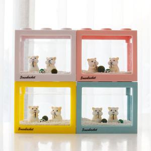 귀여운 햄스터와 함께 국산 마리모 키우기 DIY세트 마리모 키우기 키트