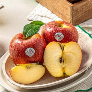 아삭하고 달콤한 엔비사과 5kg(특대과/대과/중과/소과)