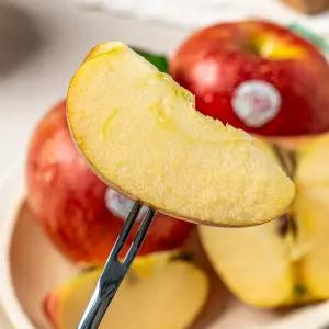 실속형 흠집 팬시 엔비사과 1-2kg내외 (특대과/대과/중과/소과)