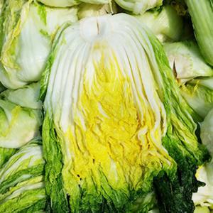 해남 명품 절임배추 10kg (3~5포기)