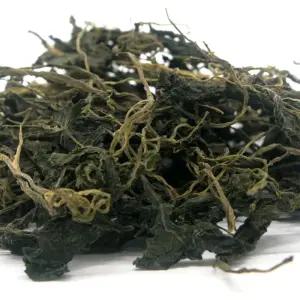 [초록한입] 국내산 유기농 곤드레나물 500g (강원 정선)