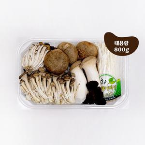 국내산 무농약 친환경 모듬버섯 800g 느타리 표고 새송이 목이 팽이 만가닥 버섯모음