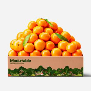 12브릭스의 고당도 제주 노지감귤 새콤달콤 노지귤 4.5kg 대과 (2L)