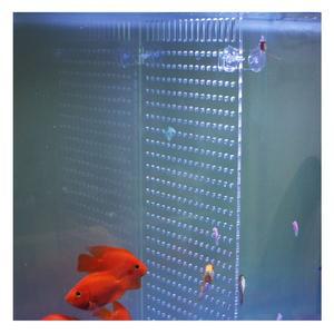 아크릴 격리 구피 어항칸막이 플레이트 파티션 새끼