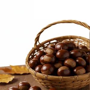 [해들애] 공주 햇밤 왕밤 1kg