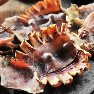 반건조 오징어 10미 900g내외