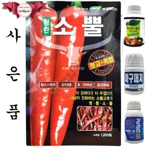 청탄소뿔 1200립 흥국씨드 26년 고추씨앗