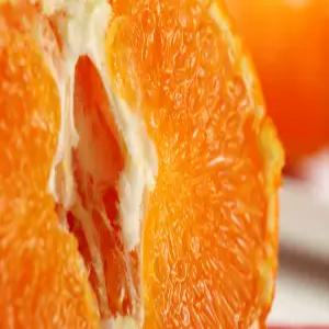 제주산 레드향 가정용 당도 좋은 감귤 중소/중/대과 10kg