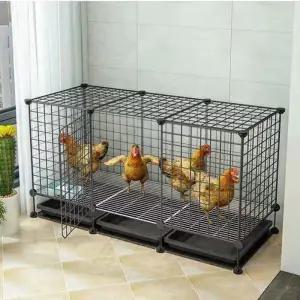 닭집 조립식 새집 1개