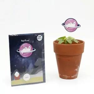 씨앗카드 새싹키우기 관찰학습 나팔꽃 나팔꽃새싹키우기 (WFJ736V)