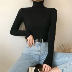 골지 무지 캐주얼 목폴라 니트 필수템 목티 가을목티 (KYR-WFGUUCE)