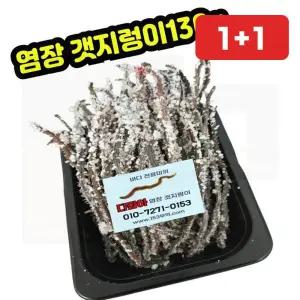 청개비미끼 탱글탱글염장갯지렁이미끼130g청개비