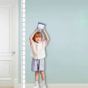 고품질 신체측정 2m 키재기 화이트 심플 스티커 눈금자 유치 (WFKB6OC)