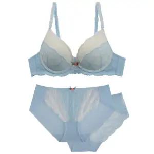 [롯데백화점]예스 라이트 블루 플라워 풀컵 브라 햄팬티/레이스팬티2매입세트 YSWBB201WPB201PB202