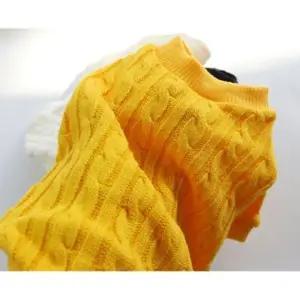 강아지 꽈배기 짜임 니트티 옐로우 1P 댄디룩 겨울