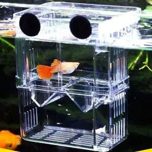 [골드스마일]배양구 산란통 부화통 치어격리통 분리통 격리통