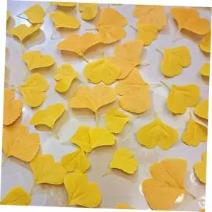 단풍잎 은행잎_100장