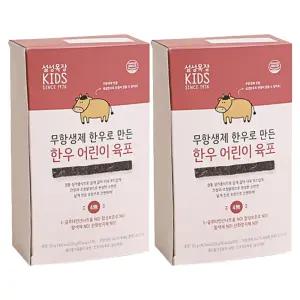 설성목장 무항생제 한우로 만든 한우 어린이 육포 간식 생일파티 생일 만들기 어린이집 방과후