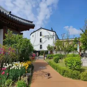 [경기 모텔] 수원 도노1796 호텔 (수원역,구운,행궁,장안구)