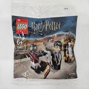 레고 30407 해리포터 해리의 호그와트 여행 폴리백