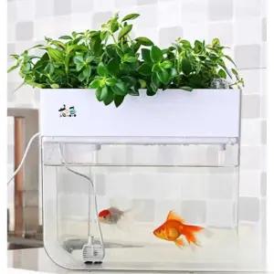 포르르 아쿠아포닉스 수족관 북유럽 어항 열대어